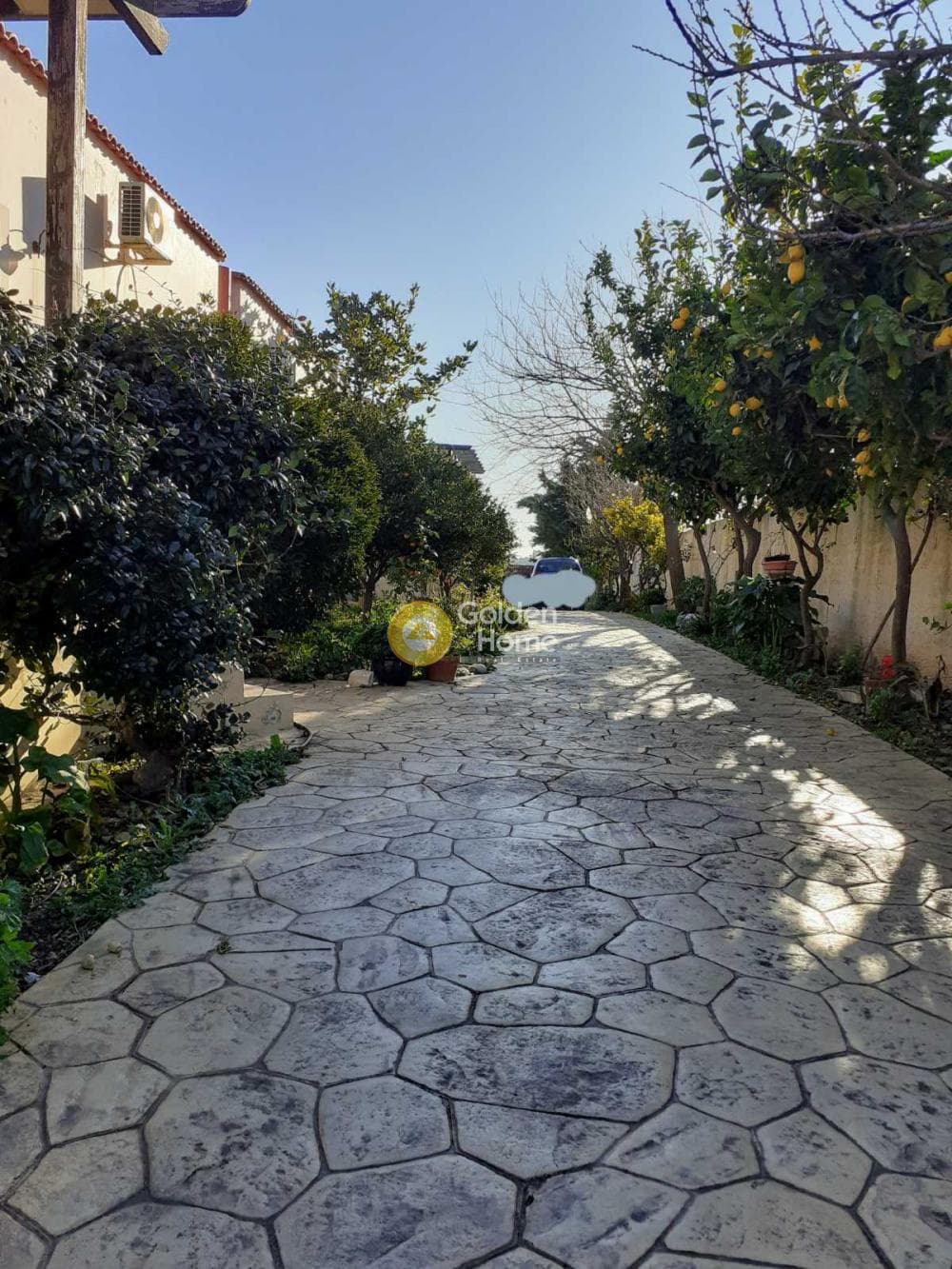 House in Venio Daskaleiou, Keratea — Photo 4 of 22