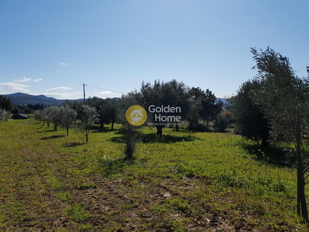 Parcel in Ari, Anavissos — Photo 11 of 32