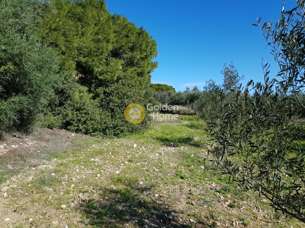 Parcel in Ari, Anavissos — Photo 17 of 32