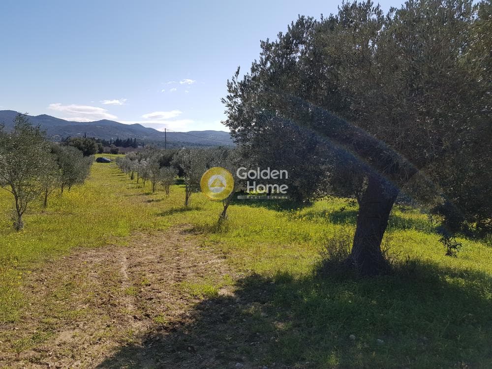 Parcel in Ari, Anavissos — Photo 18 of 32