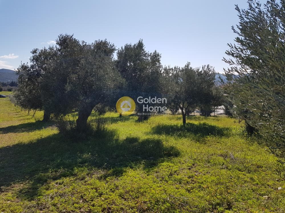 Parcel in Ari, Anavissos — Photo 19 of 32