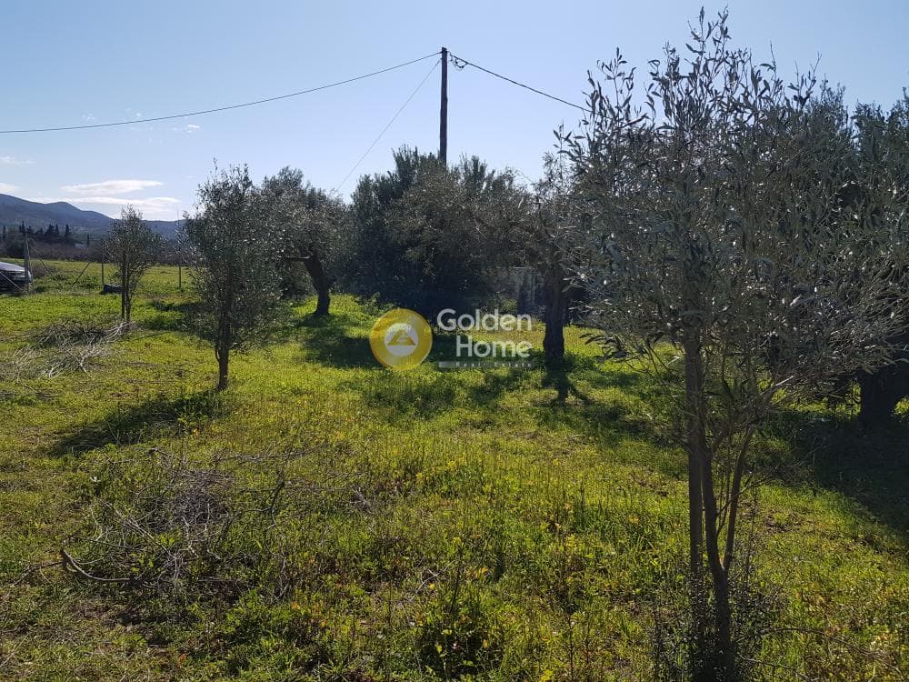 Parcel in Ari, Anavissos — Photo 22 of 32