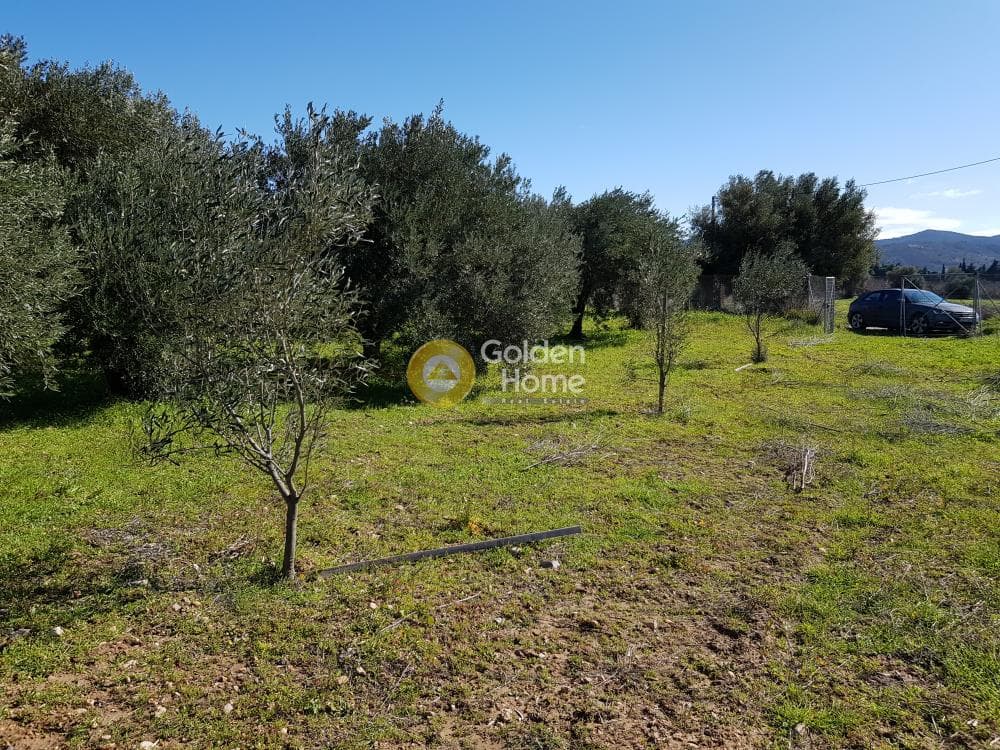 Parcel in Ari, Anavissos — Photo 23 of 32