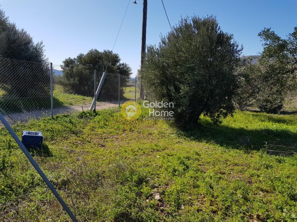 Parcel in Ari, Anavissos — Photo 24 of 32