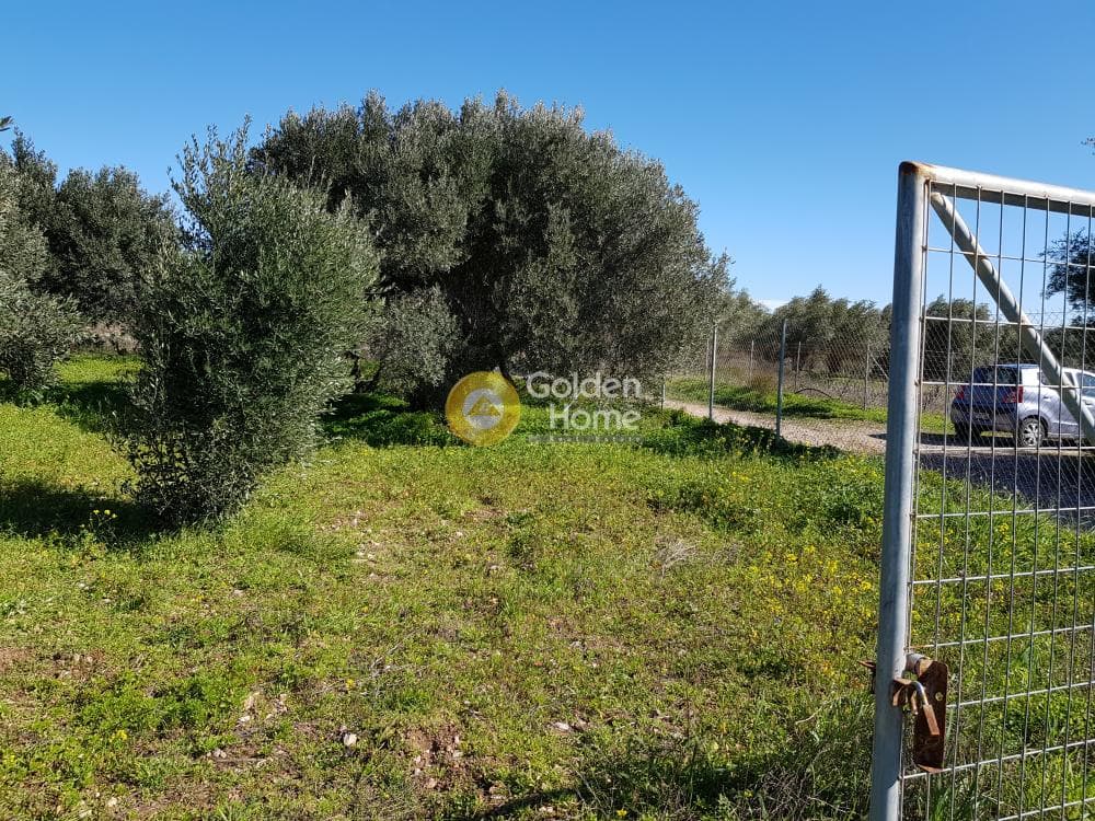 Parcel in Ari, Anavissos — Photo 28 of 32