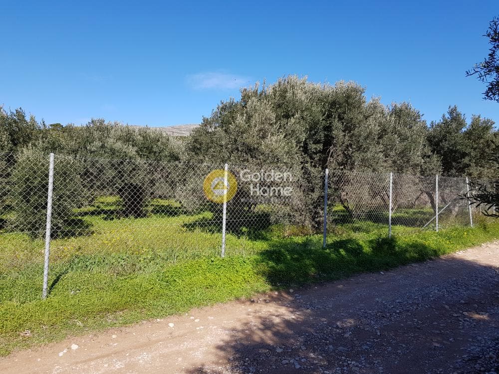 Parcel in Ari, Anavissos — Photo 29 of 32