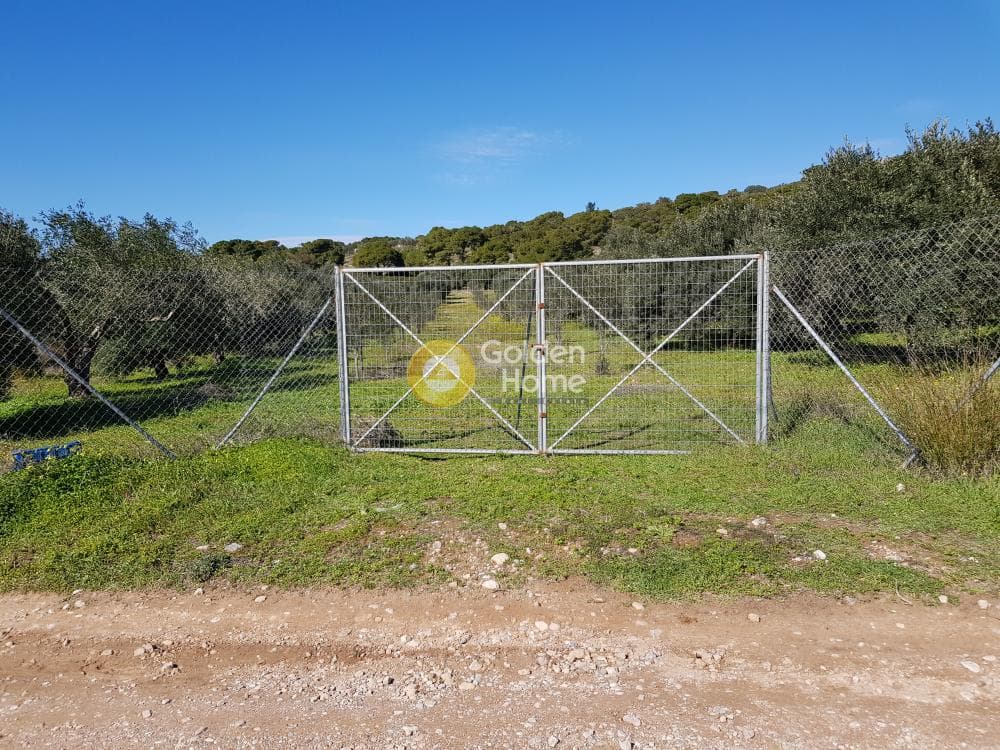 Parcel in Ari, Anavissos — Photo 1 of 32