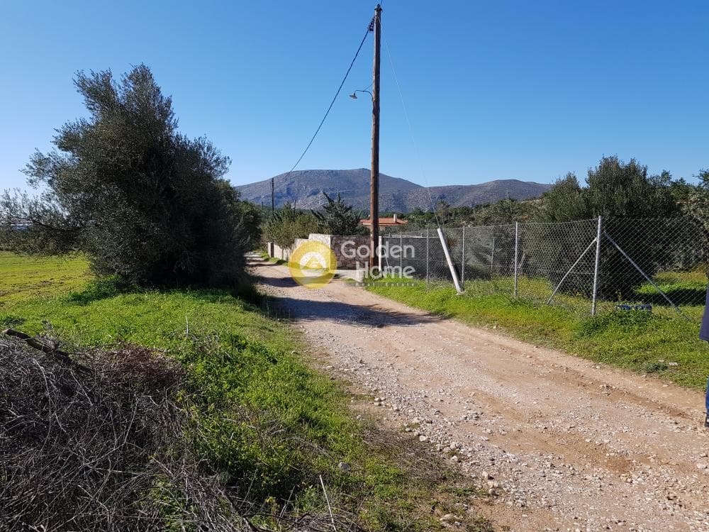 Parcel in Ari, Anavissos — Photo 2 of 32