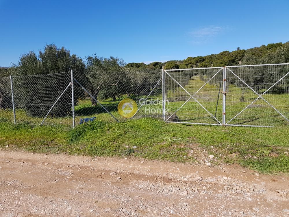 Parcel in Ari, Anavissos — Photo 30 of 32