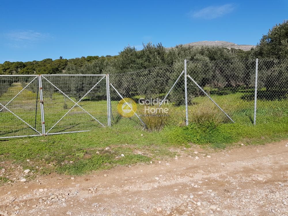 Parcel in Ari, Anavissos — Photo 31 of 32
