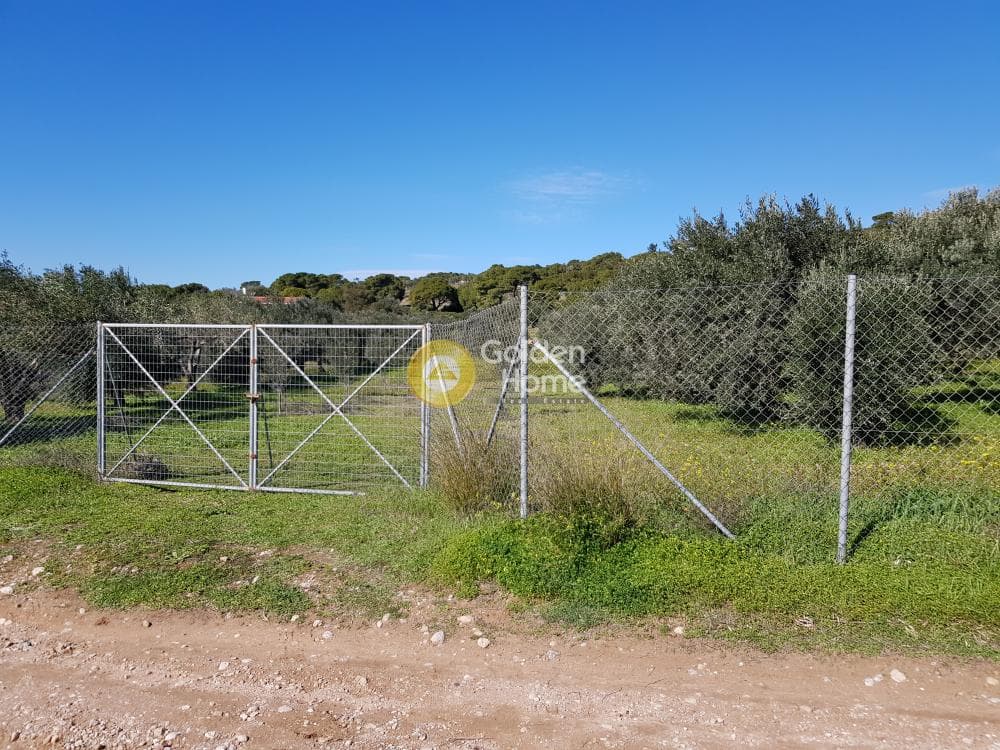 Parcel in Ari, Anavissos — Photo 32 of 32
