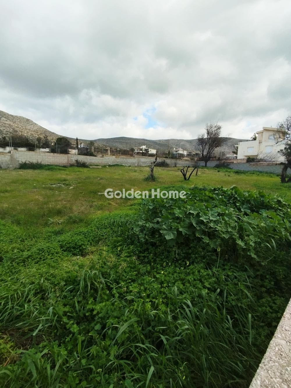 Building Plot in Kalivia, Kalivia Thorikou — Photo 3 of 5