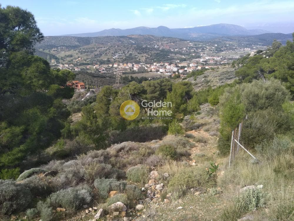 Building Plot in Galazia akti, Kalivia Thorikou — Photo 4 of 4