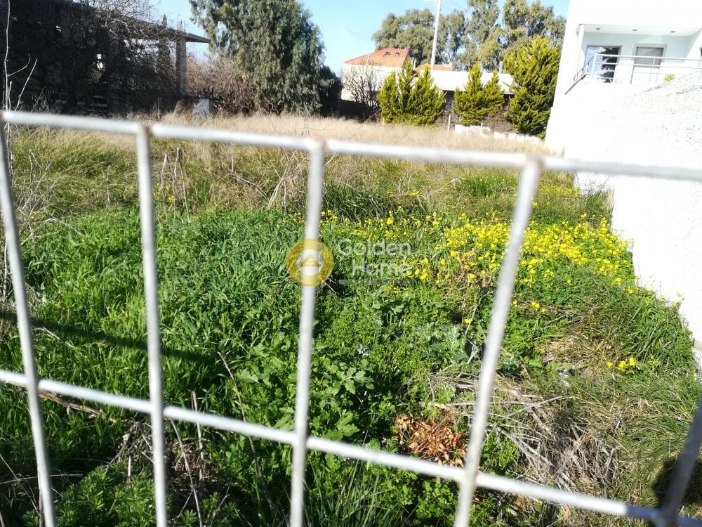 Building Plot in Kalivia, Kalivia Thorikou — Photo 4 of 6