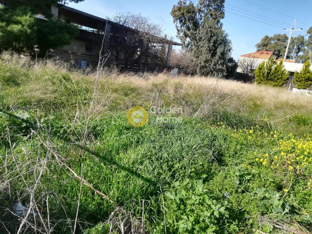 Building Plot in Kalivia, Kalivia Thorikou — Photo 2 of 6