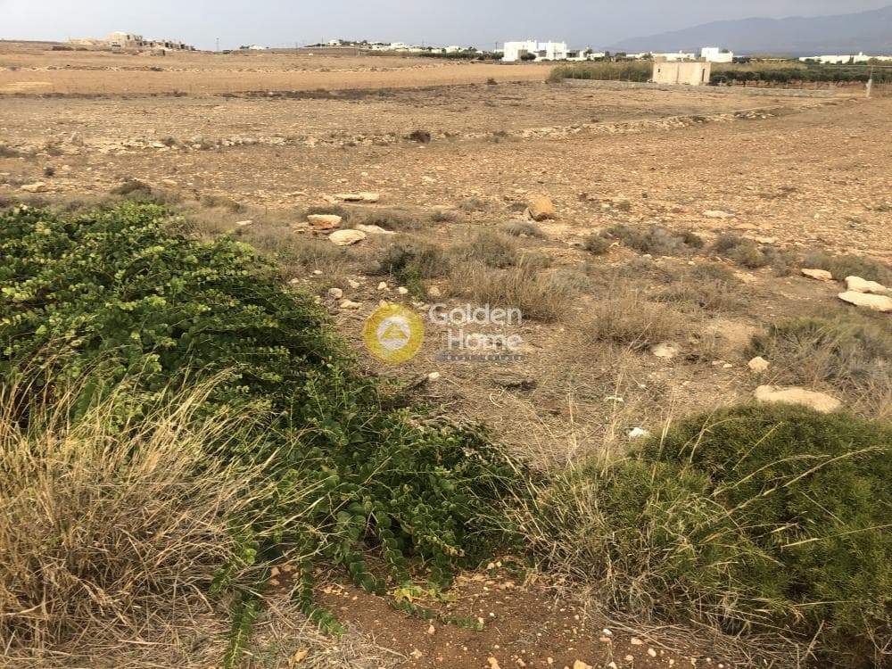 Parcel in Ampelas, Paros — Photo 3 of 6
