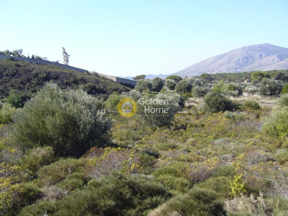 Parcel in Dimolaki, Anavissos — Photo 1 of 6