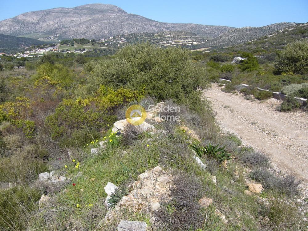 Parcel in Dimolaki, Anavissos — Photo 3 of 6