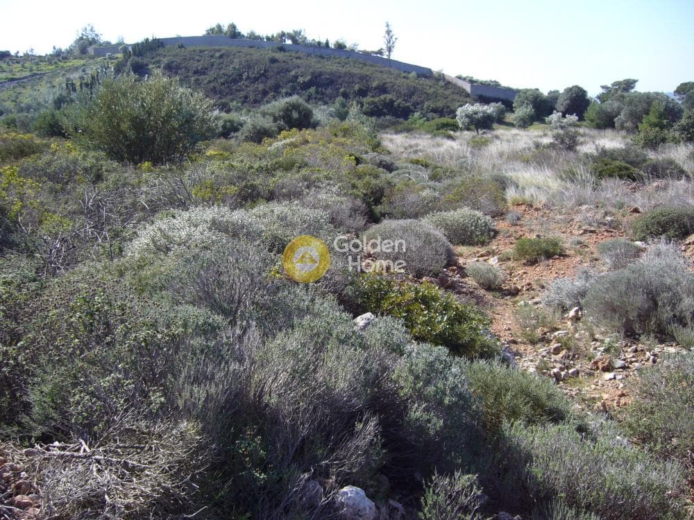 Parcel in Dimolaki, Anavissos — Photo 5 of 6