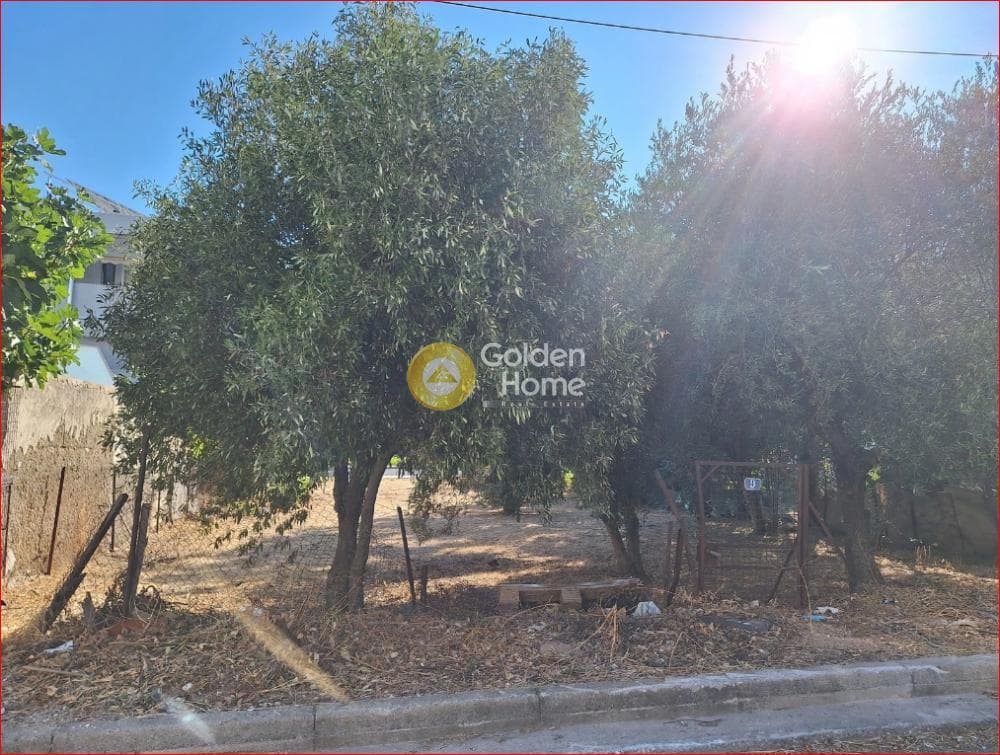 Οικόπεδο στην Σταυρός, Αγία Παρασκευή — Φωτογραφία 3 από 4