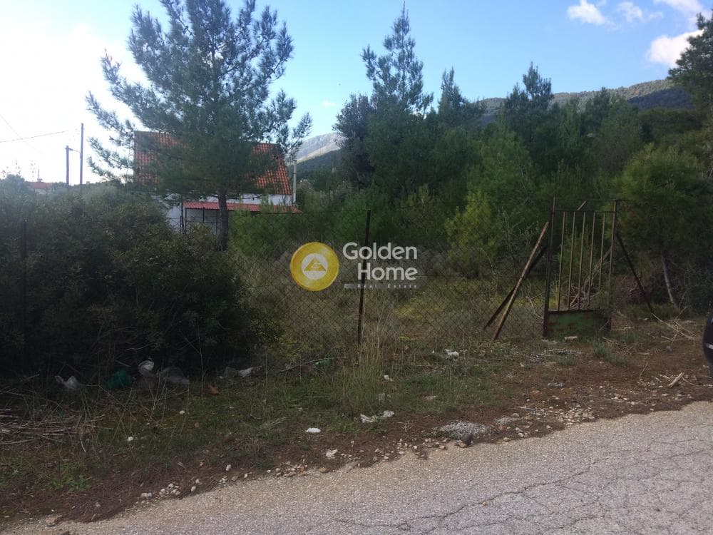 Οικόπεδο στην Φούρεσι, Γλυκά Νερά — Φωτογραφία 2 από 11