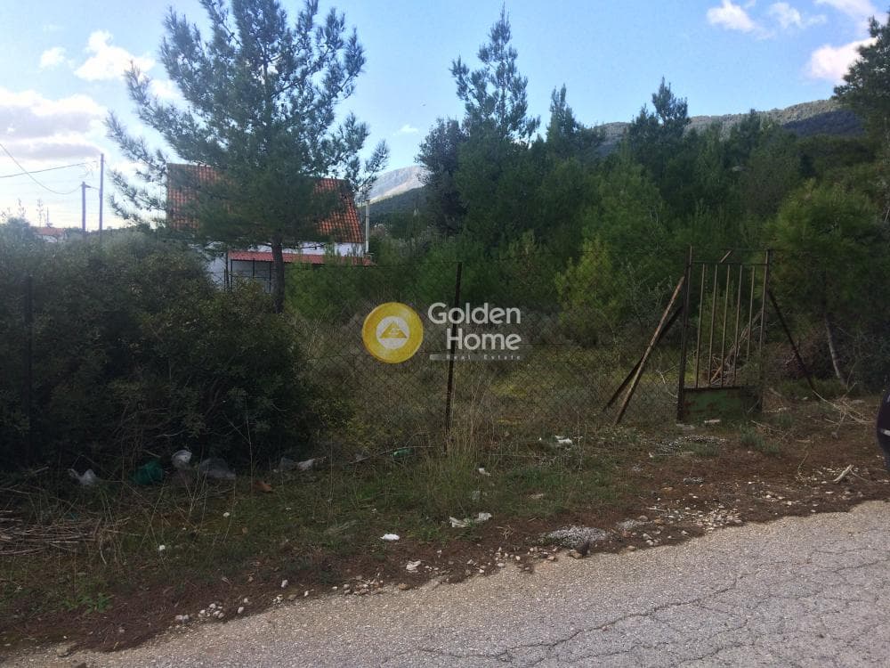 Οικόπεδο στην Φούρεσι, Γλυκά Νερά — Φωτογραφία 3 από 11