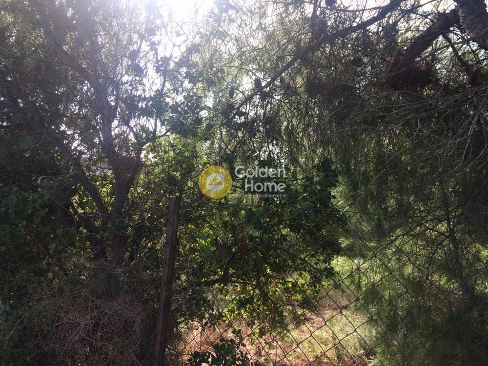 Οικόπεδο στην Φούρεσι, Γλυκά Νερά — Φωτογραφία 8 από 11