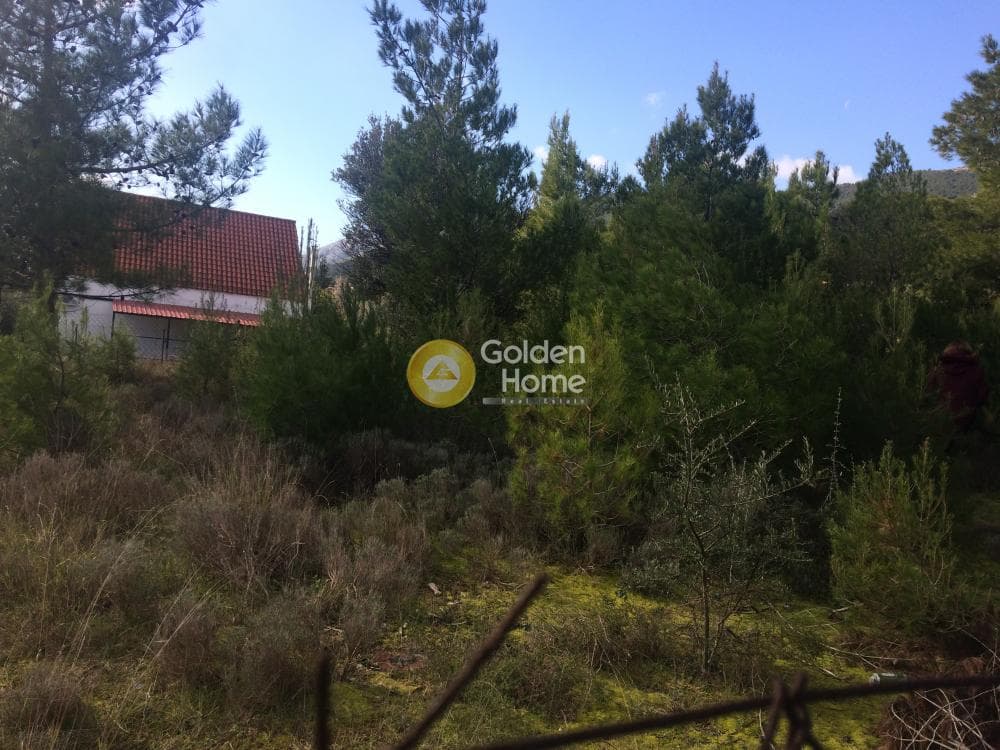 Οικόπεδο στην Φούρεσι, Γλυκά Νερά — Φωτογραφία 10 από 11