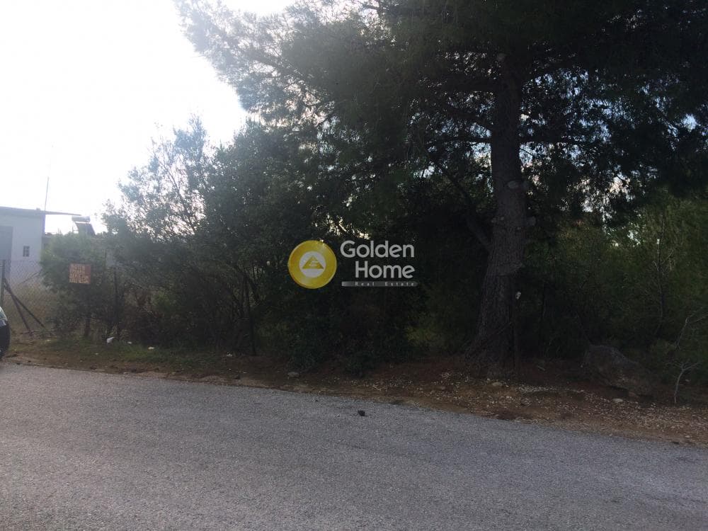 Οικόπεδο στην Φούρεσι, Γλυκά Νερά — Φωτογραφία 11 από 11