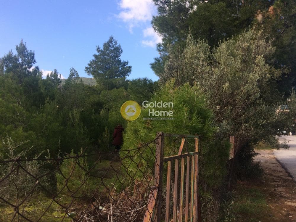 Οικόπεδο στην Φούρεσι, Γλυκά Νερά — Φωτογραφία 1 από 11