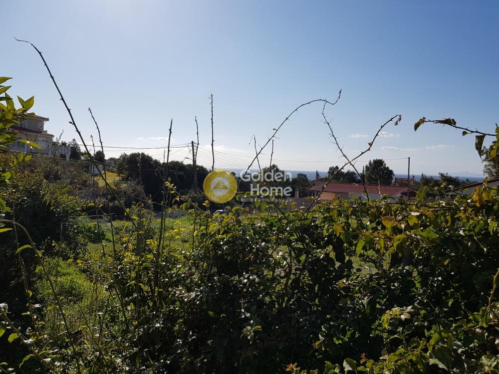 House in Thimari, Palaia Fokaia — Photo 26 of 54