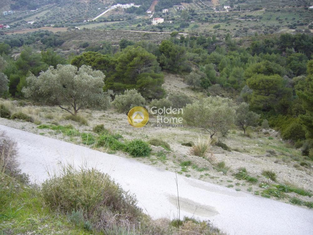 Αγροτεμάχιο στην Διόνυσος, Κερατέα — Φωτογραφία 1 από 15