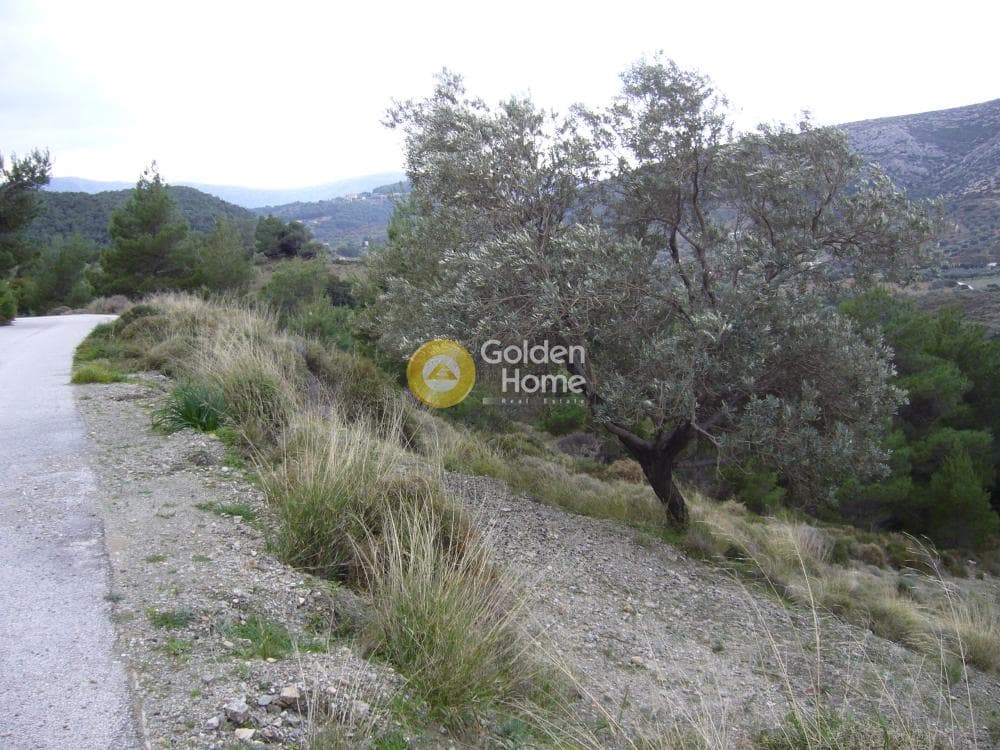 Αγροτεμάχιο στην Διόνυσος, Κερατέα — Φωτογραφία 11 από 15