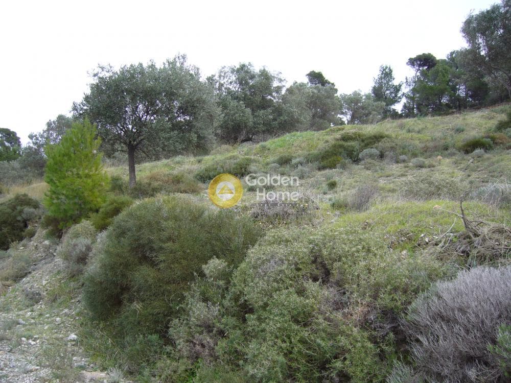 Αγροτεμάχιο στην Διόνυσος, Κερατέα — Φωτογραφία 8 από 15