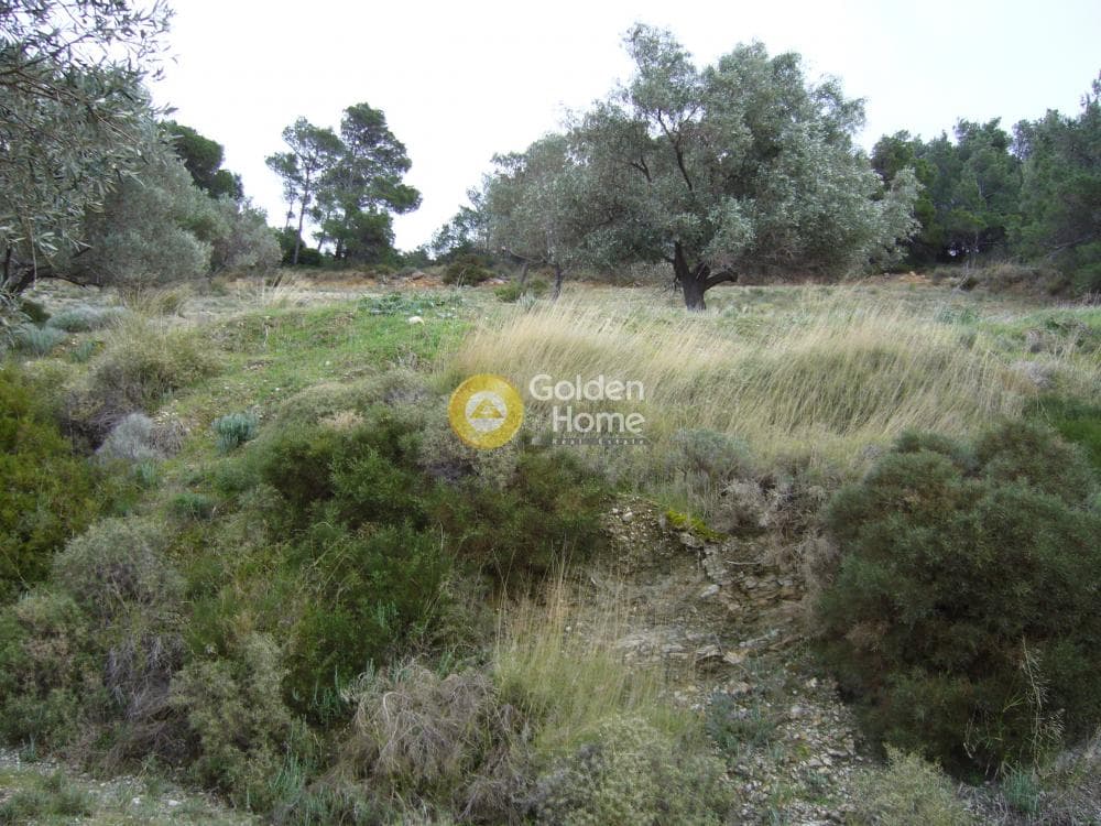 Αγροτεμάχιο στην Διόνυσος, Κερατέα — Φωτογραφία 5 από 15