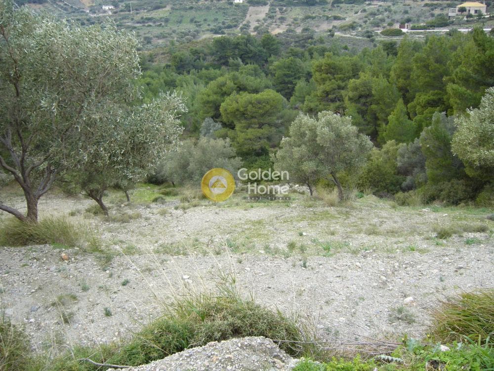 Αγροτεμάχιο στην Διόνυσος, Κερατέα — Φωτογραφία 4 από 15
