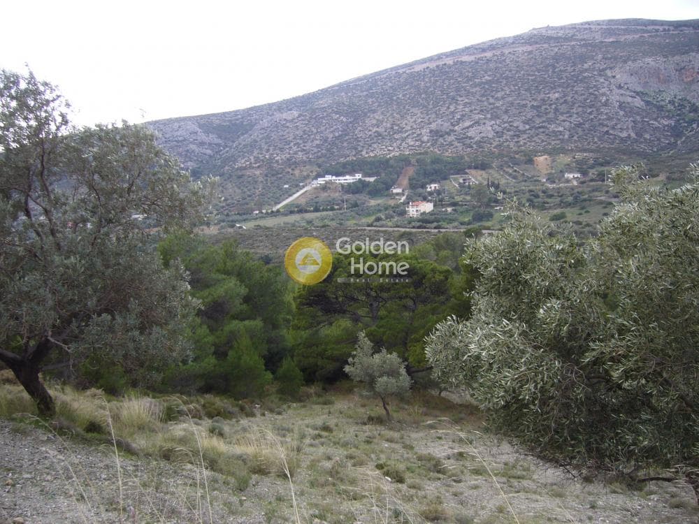 Αγροτεμάχιο στην Διόνυσος, Κερατέα — Φωτογραφία 10 από 15