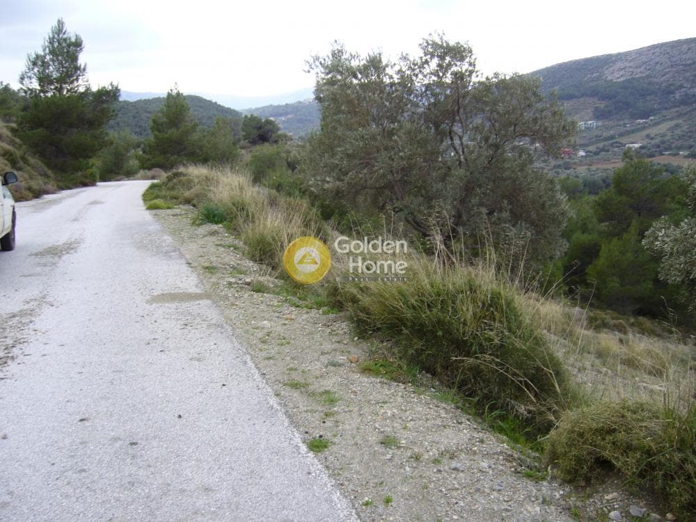 Αγροτεμάχιο στην Διόνυσος, Κερατέα — Φωτογραφία 3 από 15