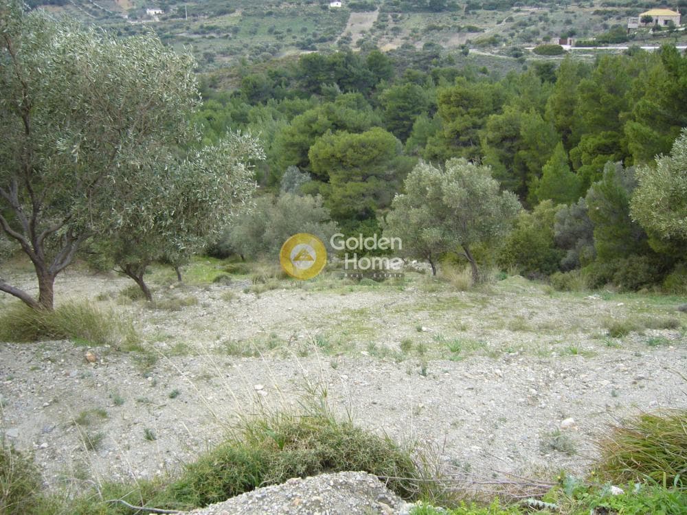 Αγροτεμάχιο στην Διόνυσος, Κερατέα — Φωτογραφία 9 από 15