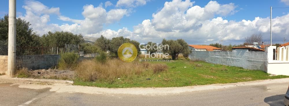 Building Plot in Venio Daskaleiou, Keratea — Photo 5 of 5