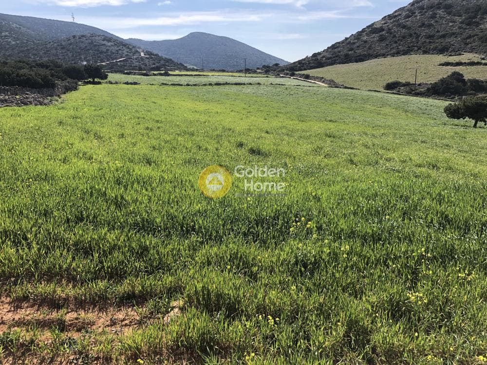 Building Plot in Kamari, Paros — Photo 5 of 9