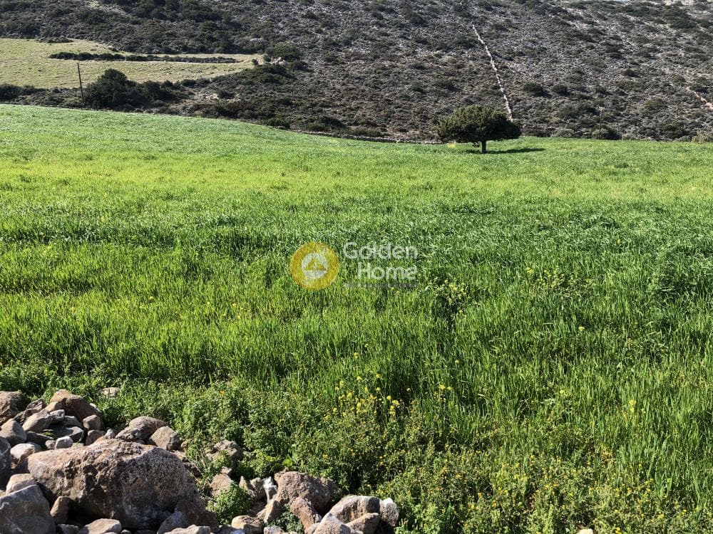 Building Plot in Kamari, Paros — Photo 9 of 9