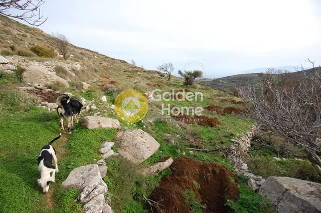 Building Plot in Vounia, Paros — Photo 4 of 6