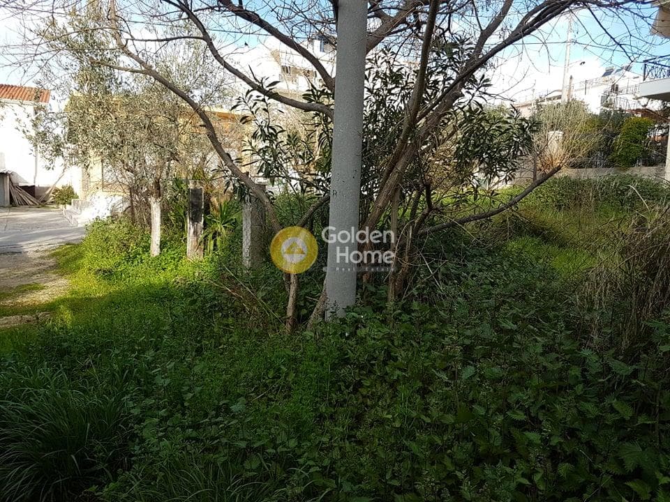 Οικόπεδο στην Γερόβουνο, Καματερό — Φωτογραφία 1 από 3