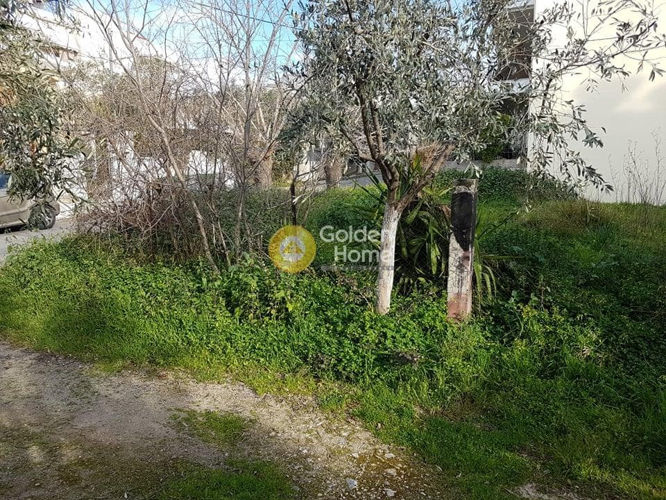 Οικόπεδο στην Γερόβουνο, Καματερό — Φωτογραφία 2 από 3