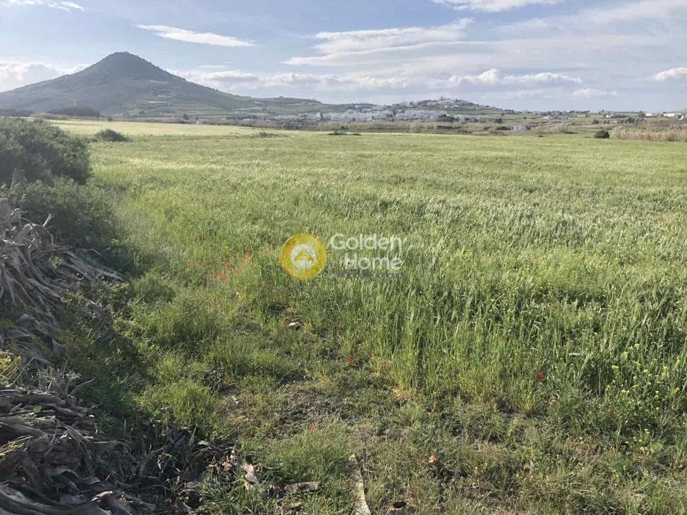 Building Plot in Prodromos, Paros — Photo 2 of 6