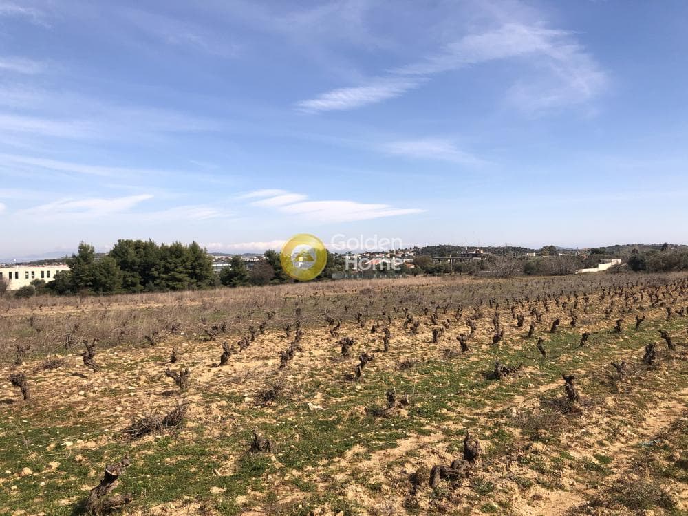 Parcel in Neapoli, Spata — Photo 1 of 4
