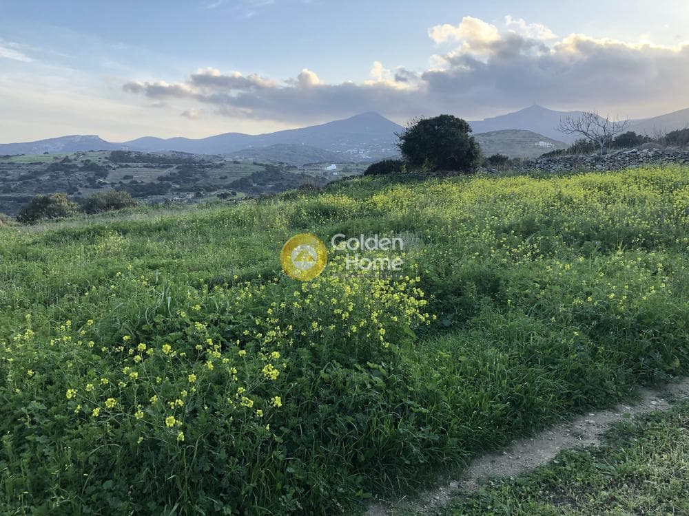 Building Plot in Kostos, Paros — Photo 1 of 5