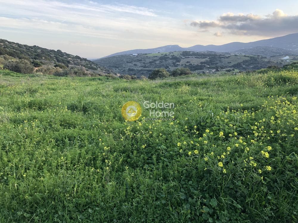 Building Plot in Kostos, Paros — Photo 2 of 5