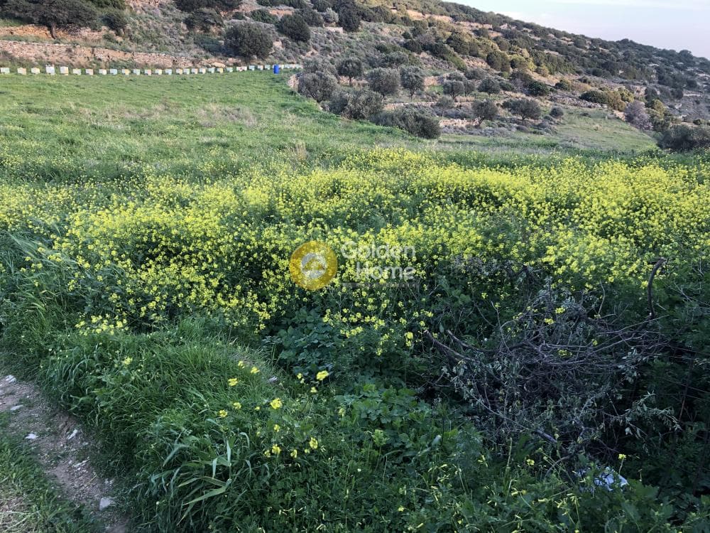 Building Plot in Kostos, Paros — Photo 4 of 5
